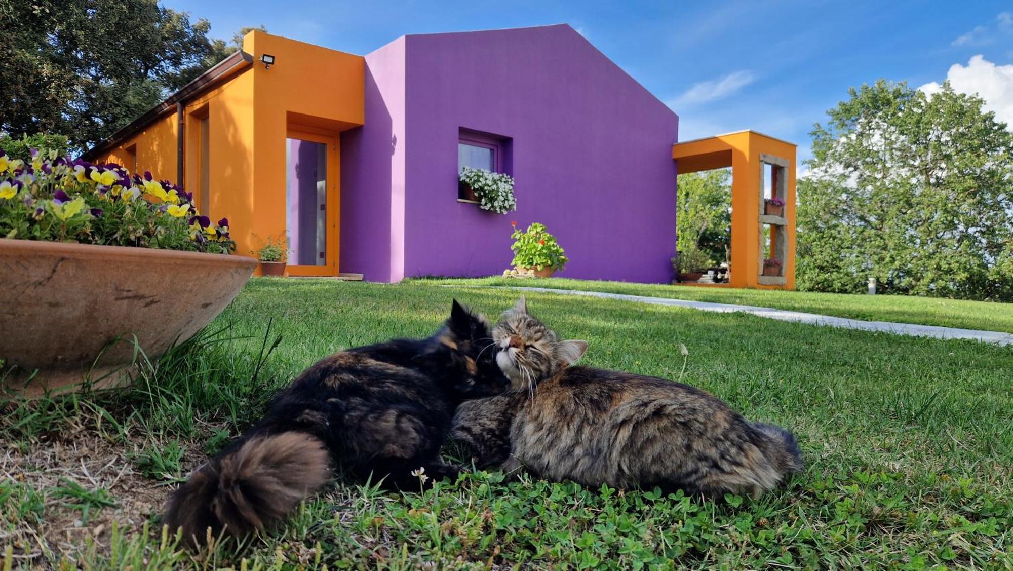 Limbara dreaming Hotel Tempio Pausania Bagian luar foto