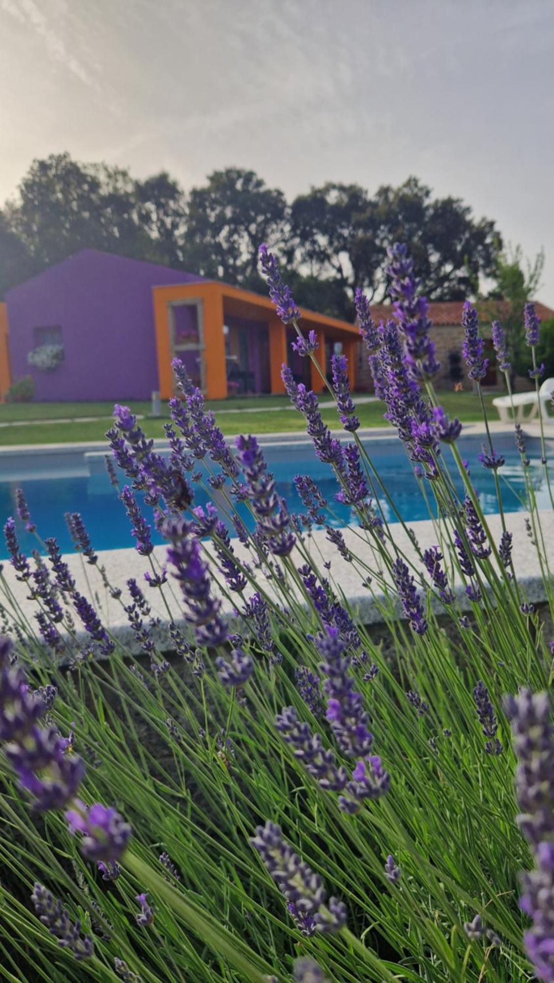 Limbara dreaming Hotel Tempio Pausania Bagian luar foto