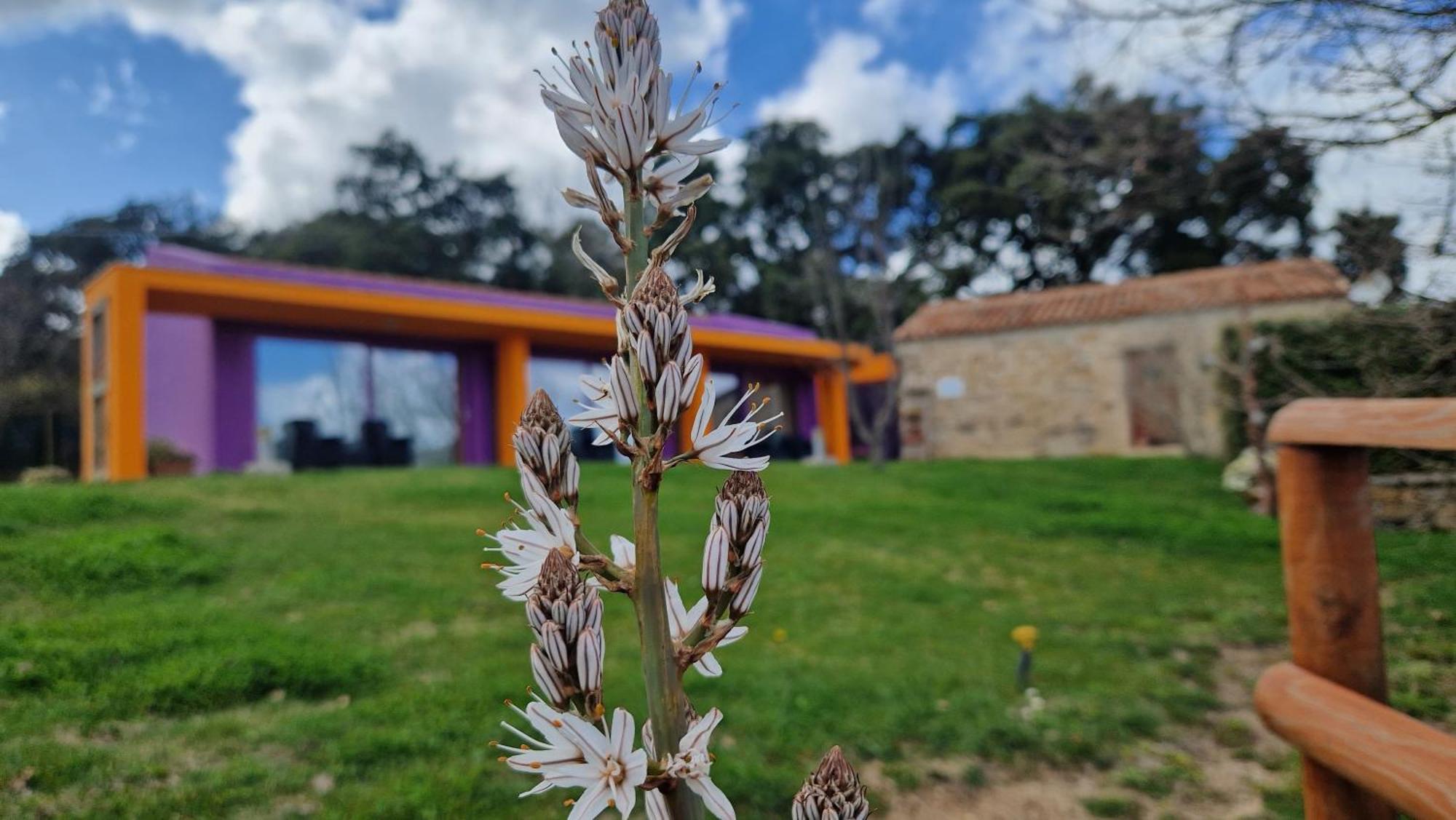 Limbara dreaming Hotel Tempio Pausania Bagian luar foto