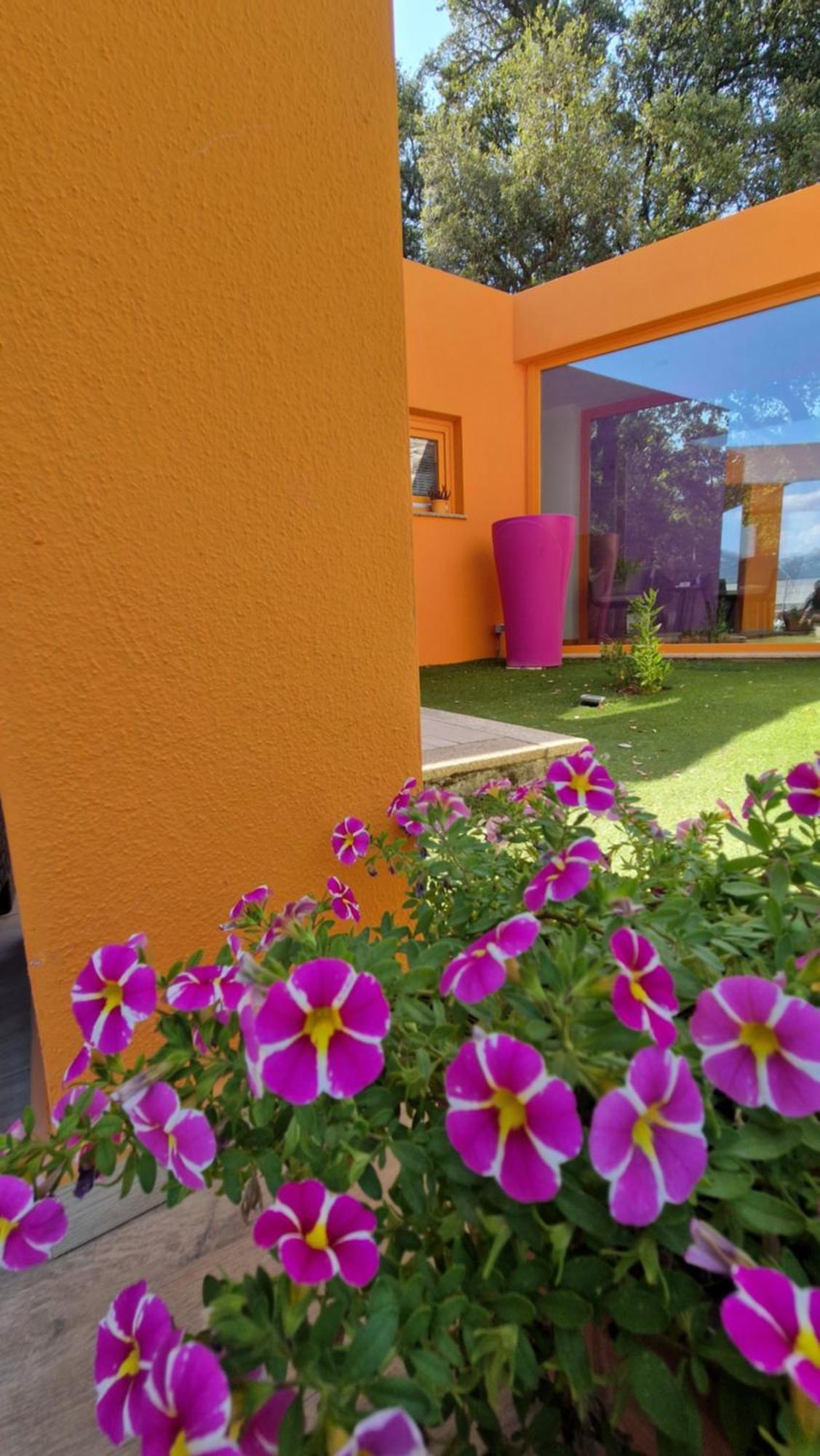 Limbara dreaming Hotel Tempio Pausania Bagian luar foto